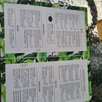 Menu at Te Quiero Verde in San Cristobal De Las Casas