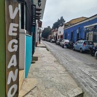  at Te Quiero Verde in San Cristobal De Las Casas