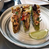 Mushroom Tacos at Red Lotus in Ann Arbor