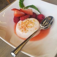 Coconut Panna Cotta at Red Lotus in Ann Arbor