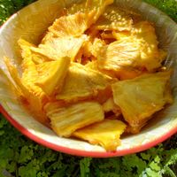 Deshidrated PineApple at vegantamarindo in Tamarindo