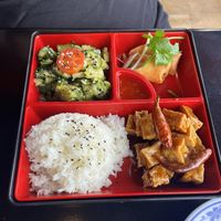 Vegan bento box (Sichuan cucumbers, jasmine rice, spring roll, fried tofu)   at Běndì Wok N' Bar in Columbus