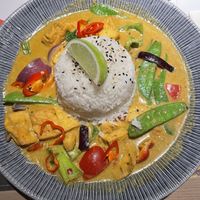   at Wagamama in Brierley Hill