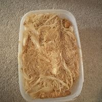 Singapore noodles with chicken  at Golden City in Tipton