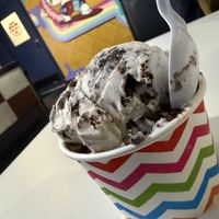 Oreo vegan ice creamm  at Tanya & Matt's Ice Creamiest in Tampa