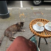 Heerlijke koffie   at Maeva in Haarlem