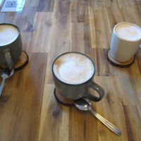 Turmeric Lattes, super flavourful and comforting. at fronda cafe  in Valencia