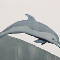   at Veggie Garden in Mountain View