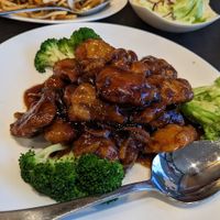  at Veggie Garden in Mountain View