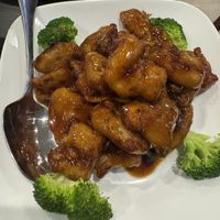   at Veggie Garden in Mountain View