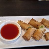 Curry Spring Rolls at Veggie Garden in Mountain View