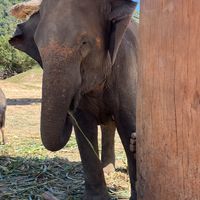   at GoVegan Travel in Ilford