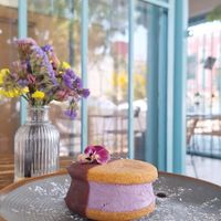  at Café Zapopan in Zapopan