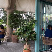 Mucho espacio afuera con sombra  at Café Zapopan in Zapopan