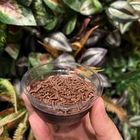   at Haya Falafel Café - Pinheiros in Sao Paulo