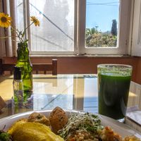 23/09/2022 at Teia Ecologica in Pelotas