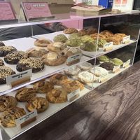   at The Vegan Treatory in Auckland