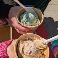 Pumpkin pie and mint choc chip at Honey's - Queen St E in Toronto