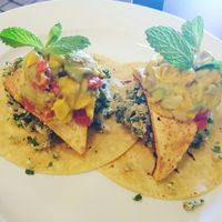 citrus tofu tacos  at Green Leaf in Framingham