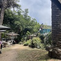   at Jammwich  in Wilderness