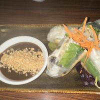 Tofu spring rolls  at The Bōl in Hollywood