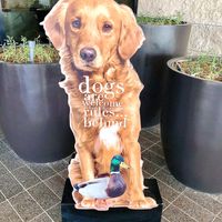 Dogs welcome!  at The Duck Hook in Dubai