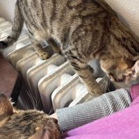   at Ayrışım Kitabevi Kafe in Istanbul