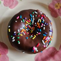 "Carnival" donut (chocolate with sprinkles) at Parlor Doughnuts in Bolingbrook