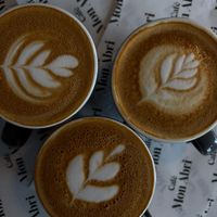  at Café Mon Abri in Newry