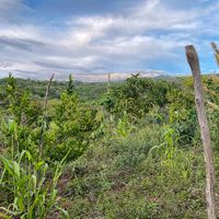 Our organic vegetable grden at Finca San Pedro Barichara in Barichara
