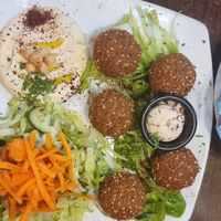 House Falafel Main at Lebanese House in Newbury