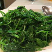 Spinach at Authentic Vegetarian Restaurant in Auckland