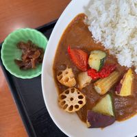 The vegan curry rice at Dining Funkatei - 有珠山食堂 噴火亭 in Sobetsu