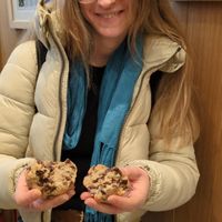 Vegan walnut choc chip cookie at Levain Bakery  in Brooklyn