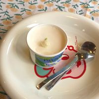  at Freezedom Da Nang in Da Nang