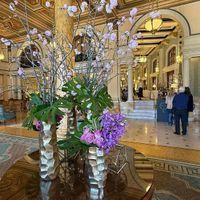   at Willard Peacock Alley Tea in Washington