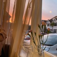   at All Good Things Vegan in Paignton