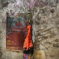   at chaochao. vegan food and natural wine bar in Beijing