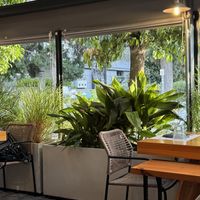   at Fysarmónika Mezedopoteíon in Athens