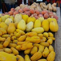 11/18/15 at Downtown Farmers' Market in Santa Cruz