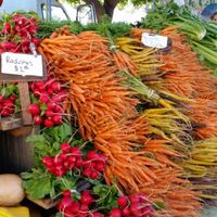 11/18/15 at Downtown Farmers' Market in Santa Cruz