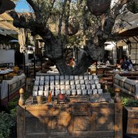 Entrance to Patio  at Gracias Madre - WeHo in West Hollywood