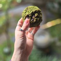  at LE LABO KYOTO 京町家 in Kyoto