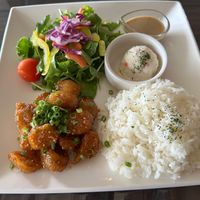  Vegan “chicken”, rice, salad with sesame dressing and potato salad  at Cafe Konii in Asahikawa