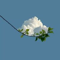  at El Espejo in La Palma