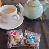 Doggie treats (one of many 😅) at The White Hare Cafe in Kirkby Stephen