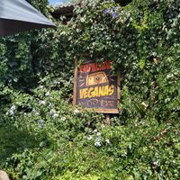 Offer three different vegan empanadas at La Pérgola del San Criss in Santiago