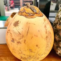 King coconut  at Tropicool Acai and Superfoods - The Beach in Dubai