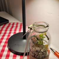 Adorable decoration at Tokio Dining in Stuttgart