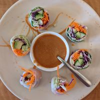 Fresh Roll at Red Curry Vegan Kitchen in Flagstaff